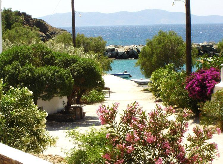 Elia Apartments Agios Romanos Extérieur photo